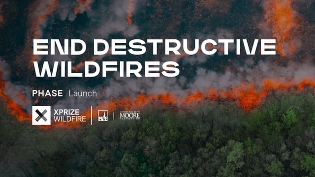 Fire Extinguisher Allocation project